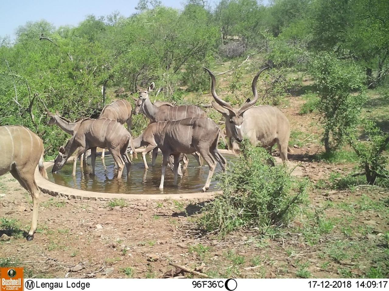 Lengau Lodge Grietjie Game Reserve Exterior photo